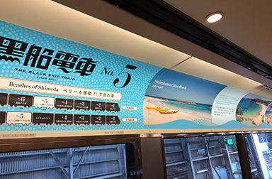 伊豆急行黒船電車の外観